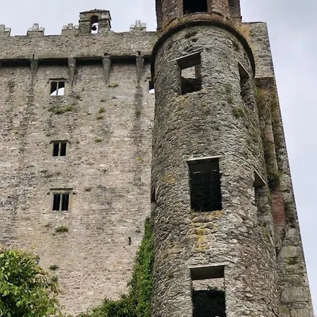 Apartment The Collins,our View From The Listowel